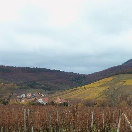 Apartment Route Du Vin Centre Alsace Orschwiller Rum bild