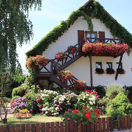 Apartment Route Du Vin Centre Alsace Orschwiller Rum bild