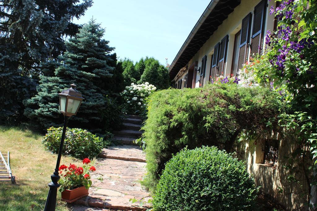 Apartment Route Du Vin Centre Alsace Orschwiller Rum bild