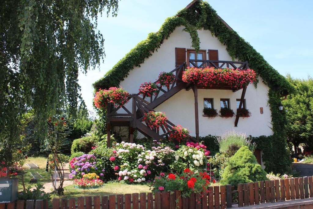 Apartment Route Du Vin Centre Alsace Orschwiller Rum bild