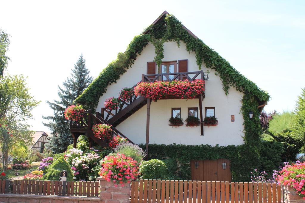 Apartment Route Du Vin Centre Alsace Orschwiller Rum bild